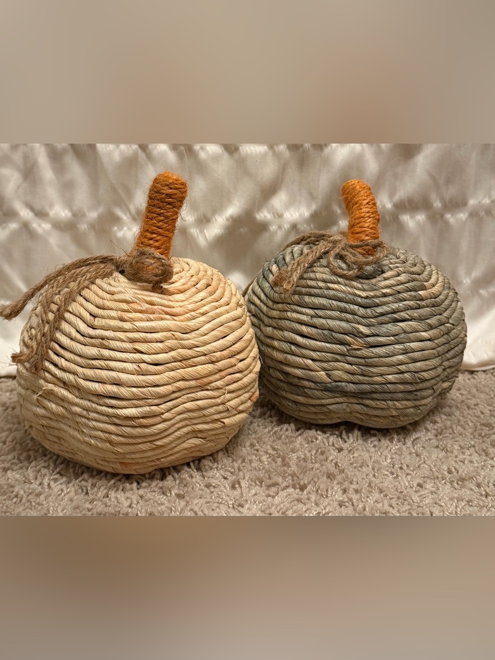 Neutral Rope Pumpkin Pair with Orange Stems – Seasonal Table Accents